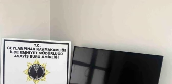 Ceylanpınar'da Çalınan Televizyonu Çarşafa Sarıp Götüren Şahıs Yakalandı