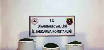 Diyarbakır'da 67 Kilogram Esrar Ele Geçirildi