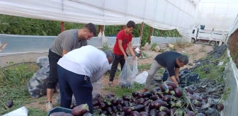 Bayram tatili sebzeleri Konya'daki öğrenci yurtlarına bağışlandı