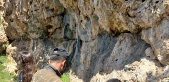 Mardin'de kayalıklardan düşen kişi ağır yaralandı