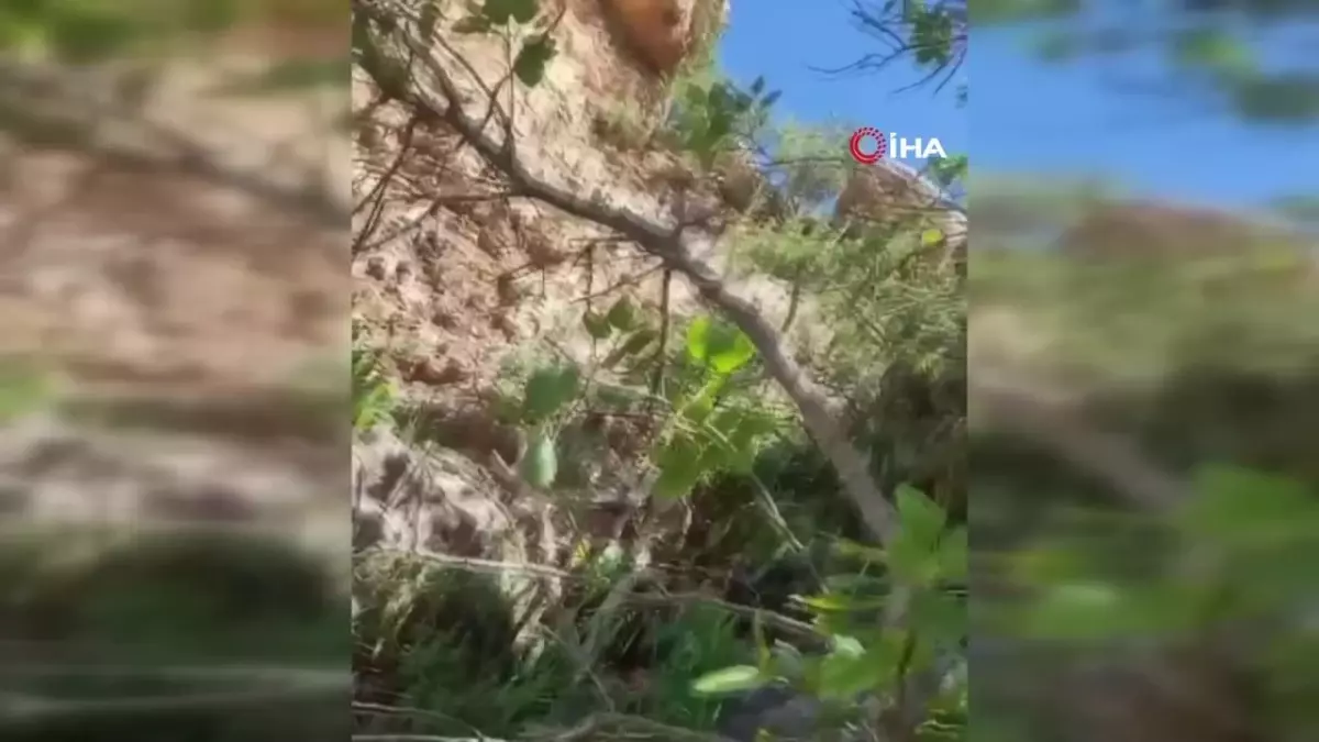 Mardin'de petrol arama ekibindeki bir kişi uçurumdan düşerek yaralandı