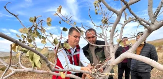 Şanlıurfa Tarım ve Orman İl Müdürlüğü, Fıstık Üreticilerine İlaçlama Çağrısı Yaptı