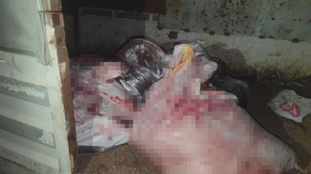 At eti kesim merkezine baskın! Kilolarca at eti bulundu, 3 hayvan kurtarıldı