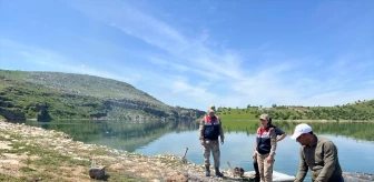 Diyarbakır'da Kaçak Balık Avı Denetimi Yapıldı