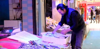Eskişehir'deki balıkçı esnafı satışlarda azalma yaşıyor
