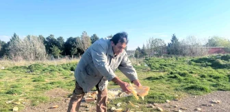 Eskişehir'de Sokak Hayvanları İçin Yemek Dağıtımı Yapan Gönüllü