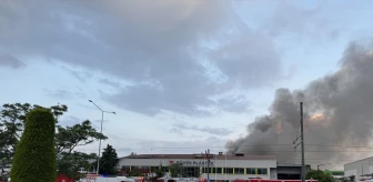 İzmir'deki fabrikada çıkan yangın kontrol altına alındı