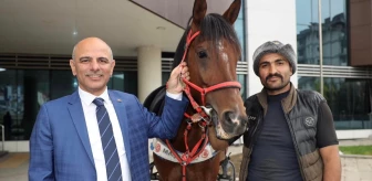 Körfez Belediye Başkanı Şener Söğüt'e atlı ziyaret