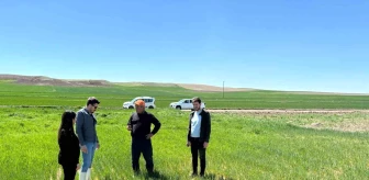 Yozgat'ta Tarım Alanlarında Hastalık ve Zararlı Kontrolü Yapıldı