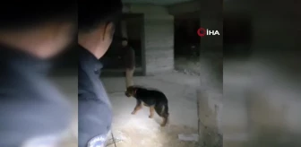 Tokat polisi mahsur kalan köpeği kurtardı