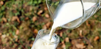Şubat Ayında İnek Sütü Üretimi Azaldı