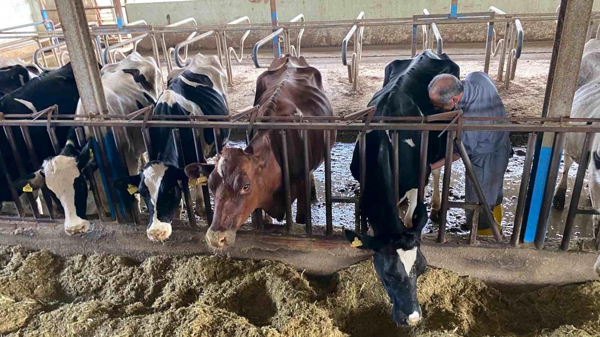 Akdeniz Üniversitesi Ziraat Fakültesi Ürün Satış Yeri Hizmete Açıldı