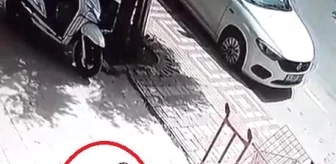 Bursa'da bir kadın, hava alsın diye bağlanan köpeği çaldı