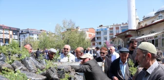 Havza Belediyesi Vatandaşlara Ücretsiz Fidan Dağıttı