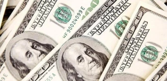 Merkez Bankası döviz kurları 2024! 1 Amerikan doları ne kadar? Yıl sonu dolar kuru ne kadar olur?