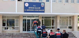 Mersin'de Yasa Dışı Bahis Operasyonu: 5 Şüpheli Yakalandı