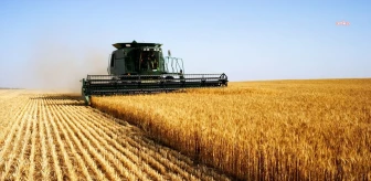 TÜİK Tarımsal Girdi Fiyat Endeksi Yıllık %49,92 Arttı