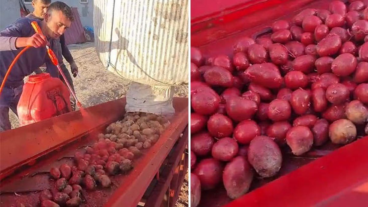 Üreticilerin paylaştığı patates ilaçlama görüntüleri tepki çekti