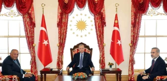 Cumhurbaşkanı Erdoğan, Mısır Dışişleri Bakanı Şukri'yi kabul etti