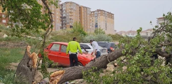 Kırıkkale'de Şiddetli Rüzgar Nedeniyle Otomobil Üzerine Ağaç Devrildi
