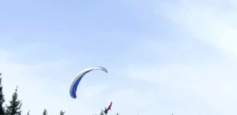 Düziçi'nin kurtuluş kutlamalarında paraşüt pilotu ağaca takıldı