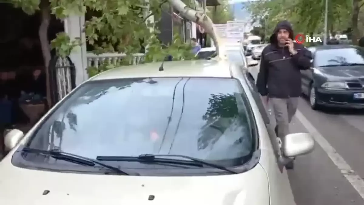 Şiddetli rüzgara dayanamayan ağaç otomobilin üzerine düştü