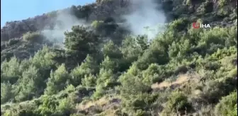 Alanya'da ormanlık alanda yangın
