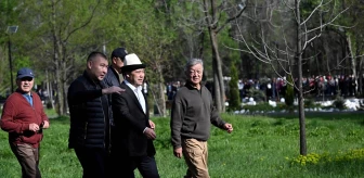 Kırgızistan Cumhurbaşkanı 8 Milyon Fidan Dikmeyi Planlıyor