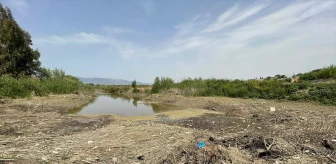 Büyük Menderes Nehri'nde Kuraklık: Sular Çekildi