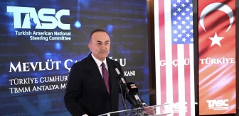 Çavuşoğlu, Türk Diasporası Buluşması'nda ABD seçimlerine vurgu yaptı