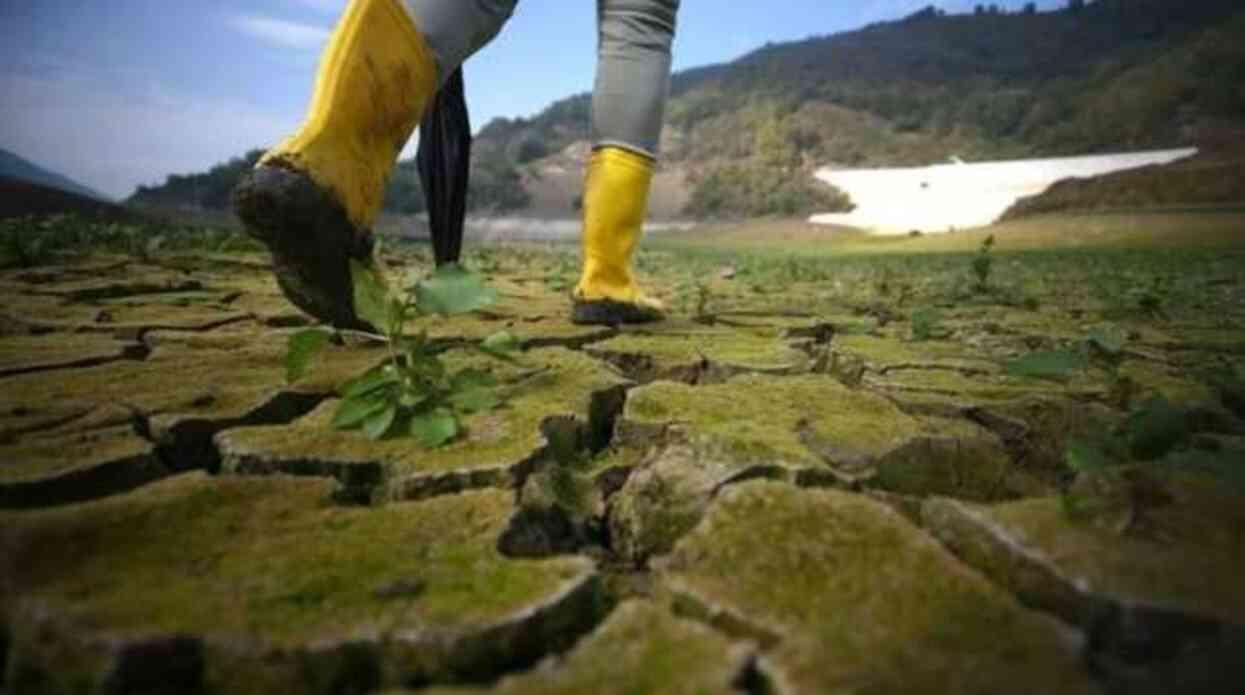 İklim değişikliği ilerleme durumu nedir? Google'da 'Dünya Günü' doodle oldu! 22 Nisan Dünya Günü nedir, neden kutlanır? 22 Nisan ne oldu?