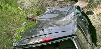 Aydın'da hafif ticari araç şarampole yuvarlandı: 2 yaralı
