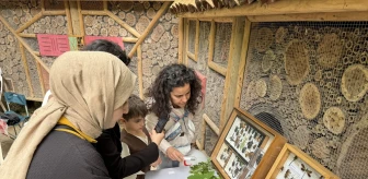 İstanbul Üniversitesi Zooloji Koleksiyonu'ndaki Nadir Böcek Türleri Ormanya'da Sergileniyor