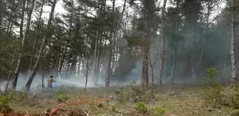 Karabük'ün Eflani ilçesinde çıkan örtü yangını söndürüldü