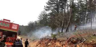 Karabük'ün Eflani ilçesinde ormanlık alanda çıkan yangın büyümeden söndürüldü