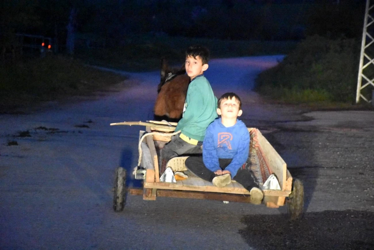 Sinop'ta çocukların tehlikeli eşek arabası yolculuğu