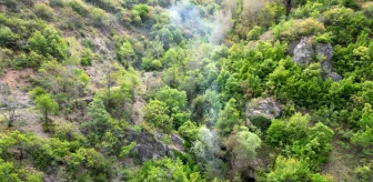 Tokat'ta Ormanlık Alanda Çıkan Yangın Kontrol Altına Alındı