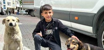Esenyurt'ta bir çocuk, sokak köpeğini yağmurdan korudu