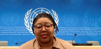 BM Raportörü: Gazze'deki Saldırılar Soykırımdır