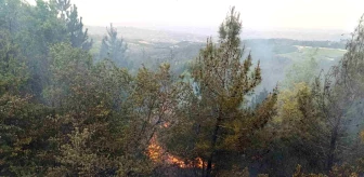 Denizli'de çıkan orman yangını kontrol altına alındı