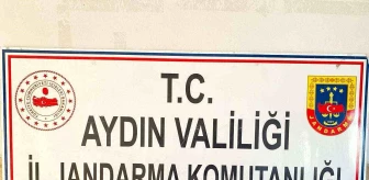 Aydın'da Tarihi Eser Kaçakçısı Suçüstü Yakalandı