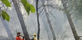 Kastamonu'nun Doğanyurt ilçesinde orman yangını çıktı