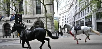 Londra'da Kraliyet Atları Kaçtı: 4 Kişi Yaralandı