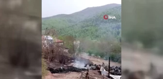 Sinop'ta 2 ev alev alev yandı