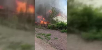 Sinop'un Ayancık ilçesinde çıkan yangında 2 ev kullanılamaz hale geldi