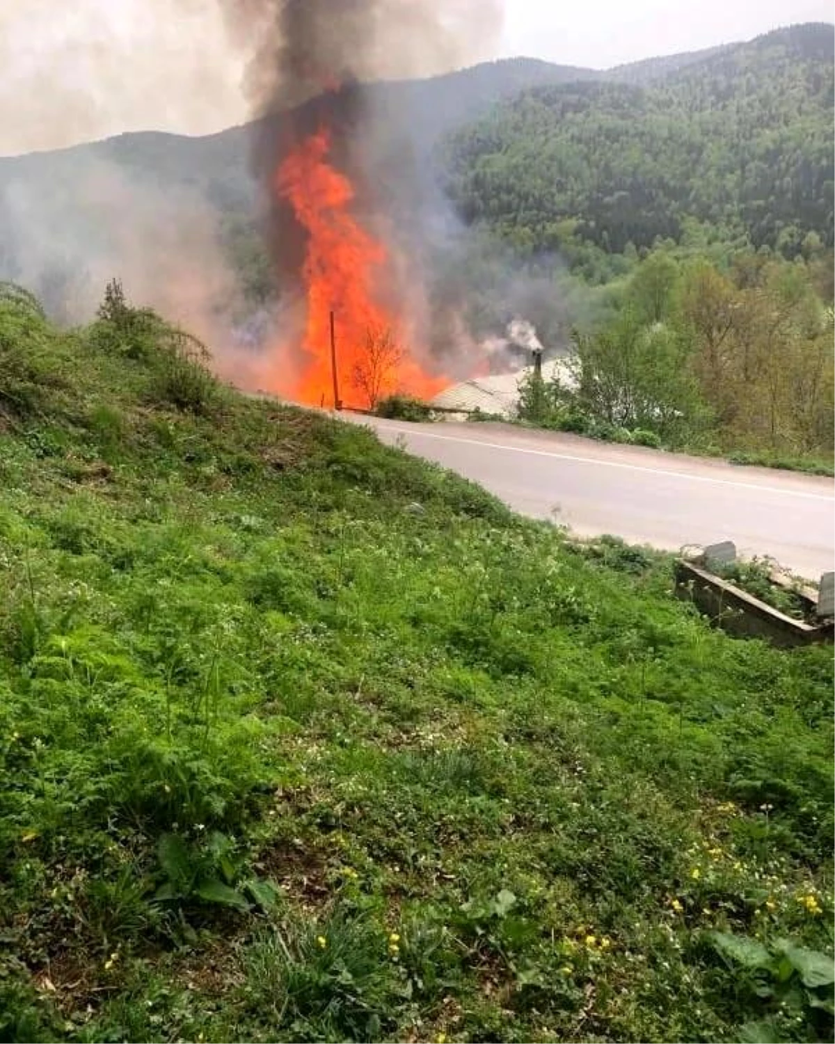 Sinop'un Ayancık ilçesinde çıkan yangında 2 ev kül oldu