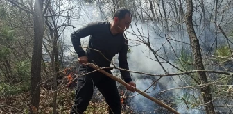 Tokat'ın Sulusaray ilçesinde ormanlık alanda çıkan yangın söndürüldü