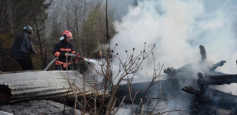Trabzon'da çıkan yangın kontrol altına alındı