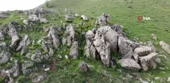 Bitlis'in huzur veren tepesinde ters lale güzelliği