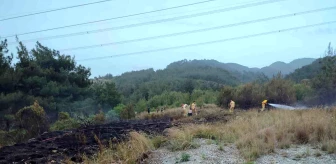 Hatay'ın Dörtyol ilçesinde ormanlık alanda çıkan yangın söndürüldü